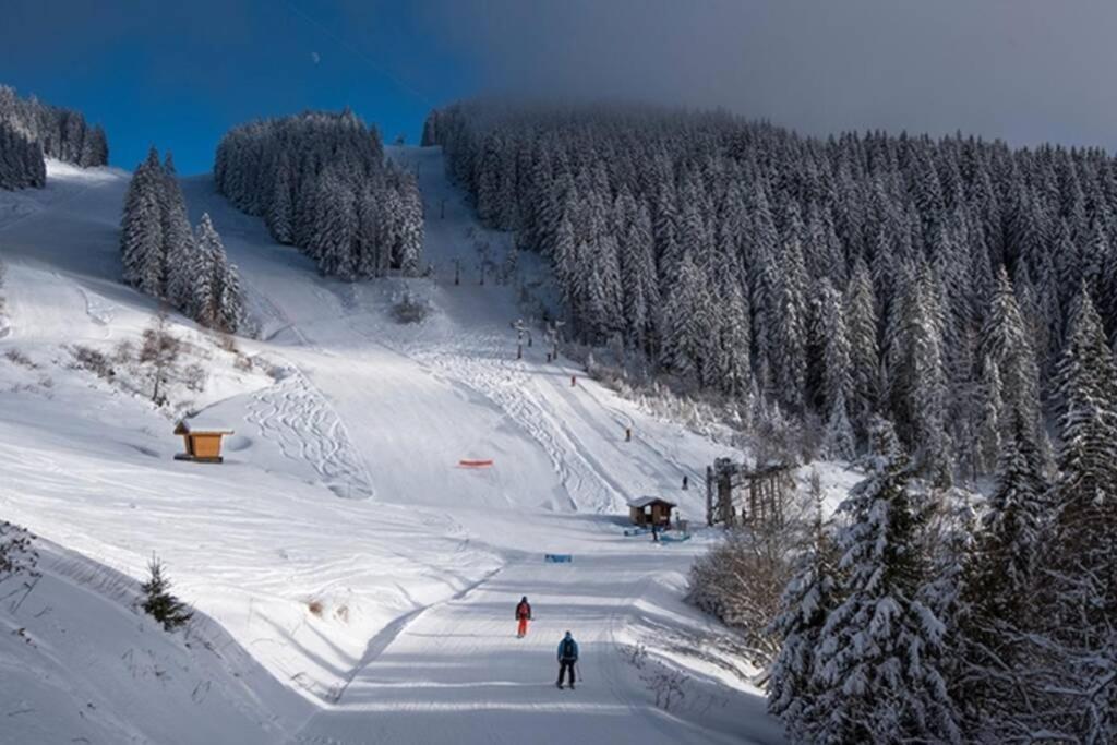 Le Relai S31 - Grand Et Lumineux Studio Avec Coin Montagne 4-6 Pers, Tout Equipe, Avec Wifi, A 30M Des Pistes Avec Un Grand Balcon, Draps Non Compris Saint-Jean-dʼAulps 외부 사진